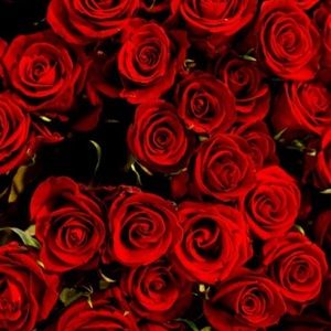 Meet your Posher, Chauna